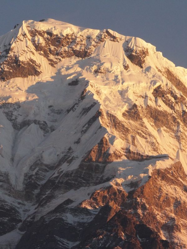 131891732_1735976440188299_2168561220840834002_n